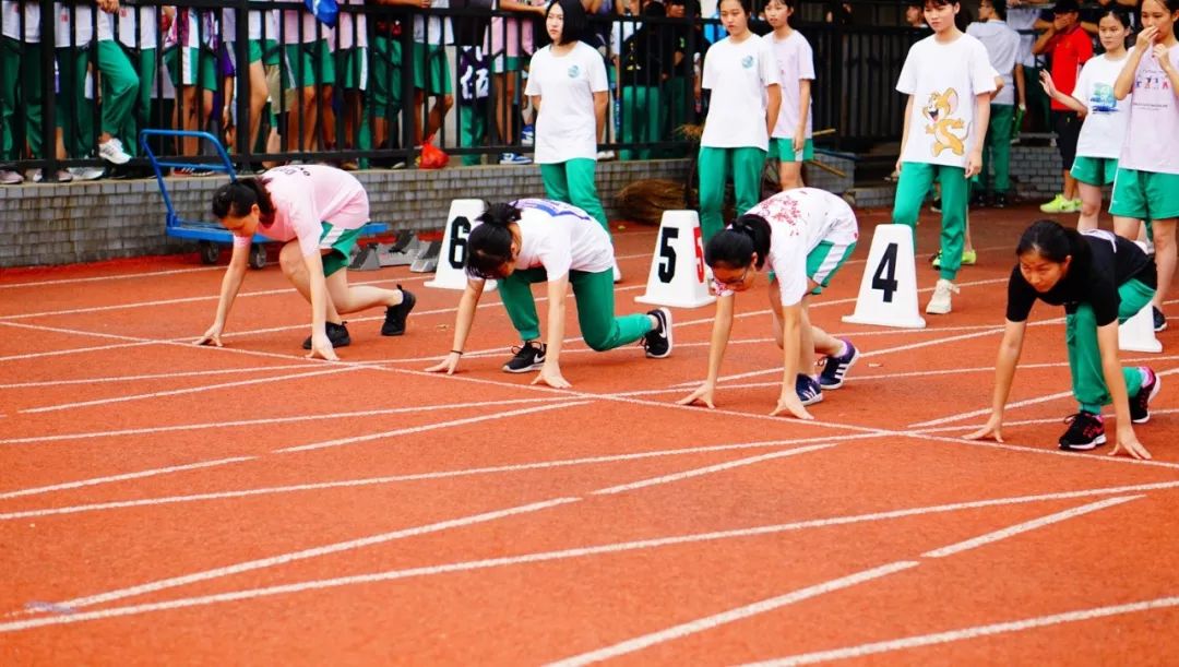 夺冠引发热议！，JackeyLove在篮网比赛中出色防守赛场气氛高涨(金靖areyoucrazy)